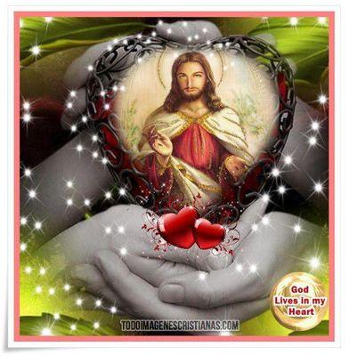 alejand07131521's profile picture. 100% FANATICO DE LOS TIBURONES DE LA GUAIRA Y DEL REAL MADRID