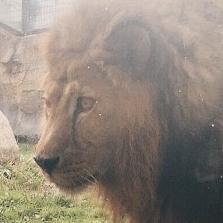 MAxx0425's profile picture. 