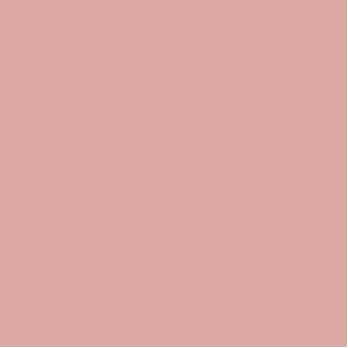아날로그 필름 앱을 만듭니다. 멘션 자주 지웁니다.  @ordinaryfactory