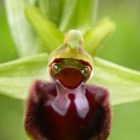 fredericpollina@live (@hiffredd) 's Twitter Profile