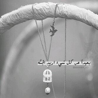 ليس كُل مآ اكتبه تحت اسمي دائماً ترجمة لأحآسيسي وّ ليس كٌل مآ أرسلـه حكـآيـه عن واقعي إنما هي ( كلمـات ) راقت لي وقديحتاجها غَـيّرِي.