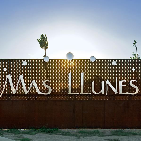 Celler Mas Llunes Profile