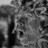 ghostplayer1_'s profile image