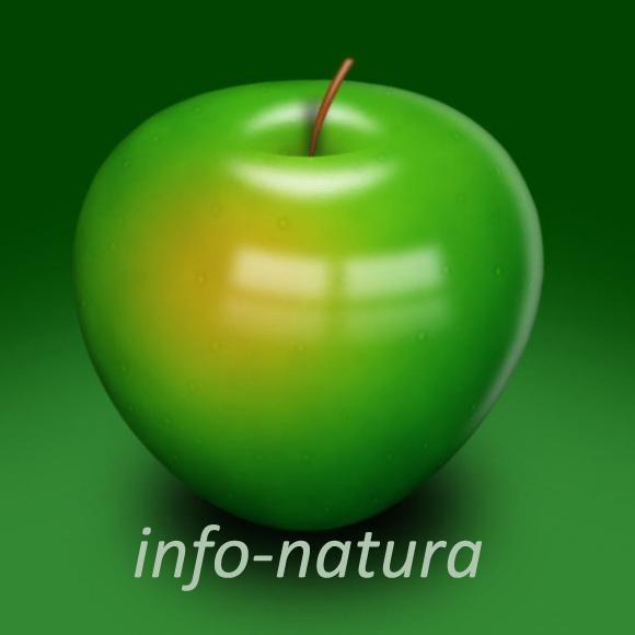 Las ultimas noticias sobre Naturaleza, Ecologia, Ciencia, Agricultura, Ganaderia, Salud y mucho mas...