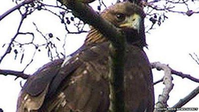 kongetoi's profile picture. Can't wait to get out of the EU... Liverpool fc  fan...YNWA