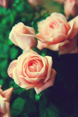 I'm a  girl with full of dreams...