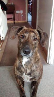 leelyons76's profile picture. hello in Edinburgh and you know its bloody freezing cold weather and you know it