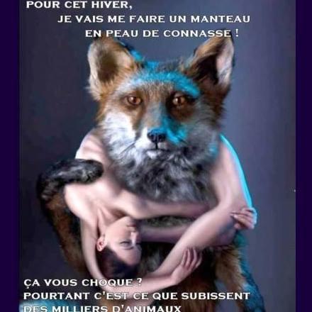 Il faut sauver la Terre et ses animaux

Les animaux vous aiment et sont fidèles

We must save the Earth and its animals