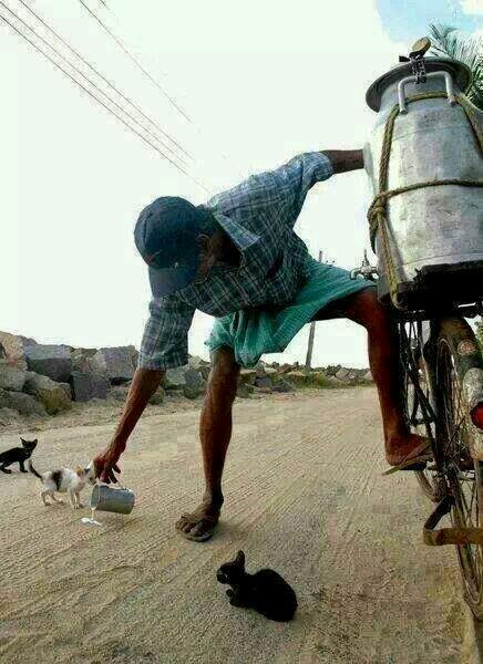 ij505767's profile picture. 