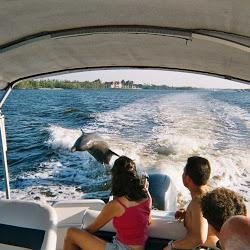 Naplestours's profile picture. Our Dolphin Adventure tour has something for everybody in the family, a place to make memories that will last a lifetime. Contact us for more info/reservations.