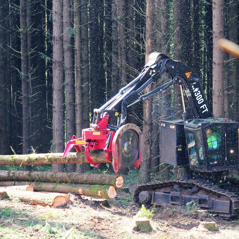 Cutting Edge Technology by Quadco. From Forestry Mulchers, Replacement Mulcher Drums, Forestry Mulcher Teeth, Grinder Teeth, Saw Teeth, Saw Discs.