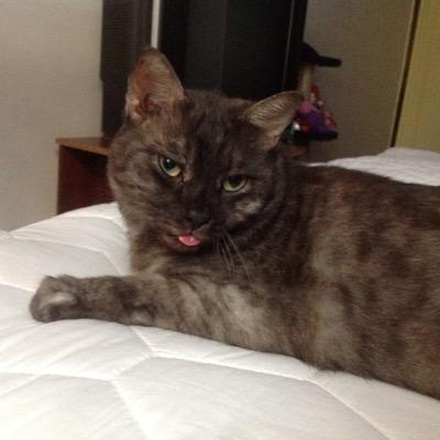 azlin_b's profile picture. Play. Live. Believe. My art is my message.  Visit me @ https://t.co/WrNRgOr3pw