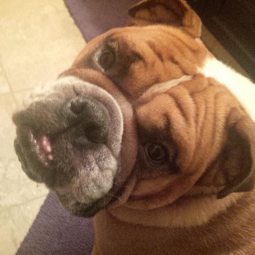 angela_porteous's profile picture. 