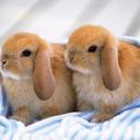 Margaret Summers - @Swany1111 - Twitter