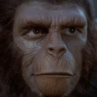 JT_SPURS's profile picture. 