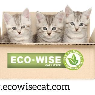 Environmentally Wise Cat