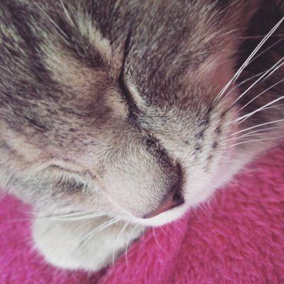 つかってません。