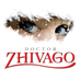 Doctor Zhivago (@zhivagomusical) Twitter profile photo Doctor Zhivago (@zhivagomusical) Twitter profile photo