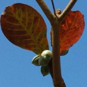 tomysurf46's profile picture. 