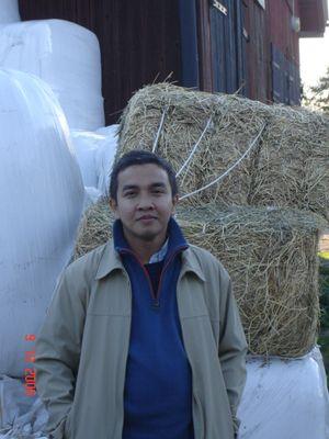 ecologist, community facilitator, writer, green-politic, conflict-resolution, social forestry