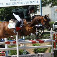 Fred Scala (@fredscala1) 's Twitter Profile