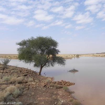 ألا يا صبا نجدٍ متى هجت من نجدِ لقد زادني مسراك وجدا على وجدِ رعى الله من نجدٍ أُناسا أحبهم فلو نقضوا عهدي حفظت لهم ودّي