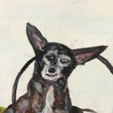 christopher reno - @cwreno2001 - Twitter