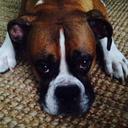 Sylvia Servin - @4Servin - Twitter