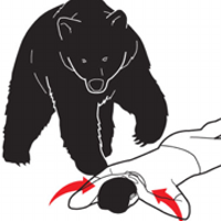 Florian Egermann @fleg@chaos.social (@tafkaf) 's Twitter Profile Photo