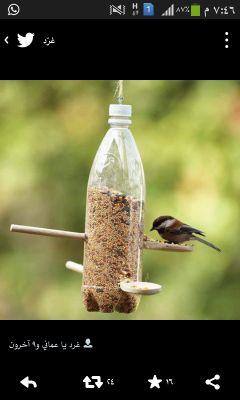 3952068aa82e418's profile picture. ‏‏‏⁧
لا تَبحث عن قيمتِكَ في أعيُنِ الناس
أبحث عنها في ضميرِكَ فإذا ارتاح الضميرُ إرتفع المقام.