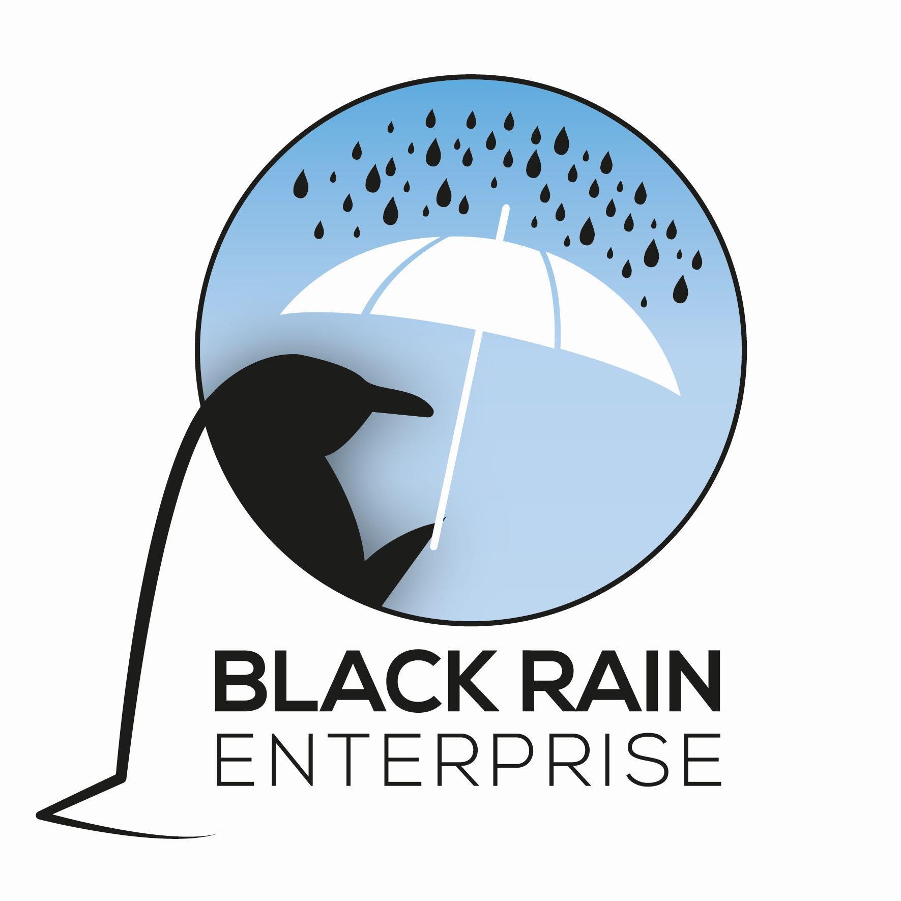 BlkrainSales's profile picture. 