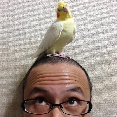 Toshi_Isawa's profile picture. 