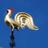 WinchcombeHour's profile image
