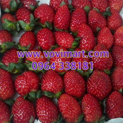 vovimart.vn