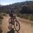 juandepinto's profile image