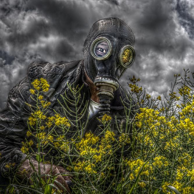 carprigger's profile picture. 