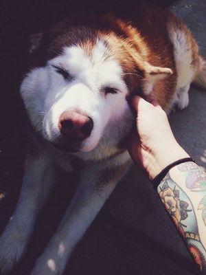 alyonkaberezina's profile picture. 