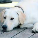 Jill Coyle - @JillCoyle2 - Twitter