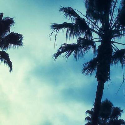 FormalFactions's profile picture. 