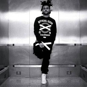 __theweekend's profile picture. *parody* or nah