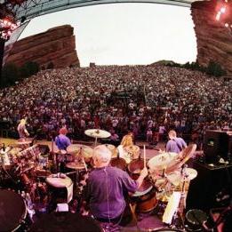 TheDeadBrit's profile picture. Bad gambler, worse golfer. All views are cider's