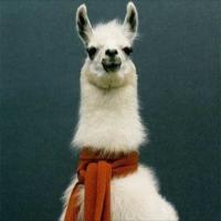 Mary Spielbauer (@mrsspielbauer) 's Twitter Profile