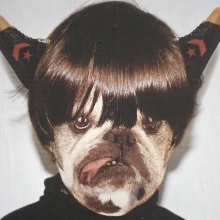 LAURENTLACHURIE's profile picture. 