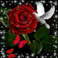 بنت ابوي  (@123456sr28) Twitter profile photo