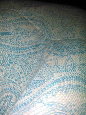 marioplacanica1's profile picture. 