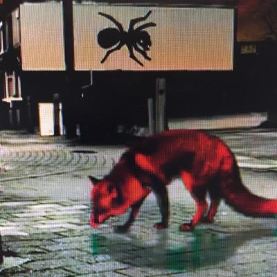 Mo0nsta's profile picture. 