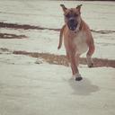 Kathy Silverman - @ksilver727 - Twitter