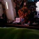 Ellen Goldinger - @444df35408814ca - Twitter