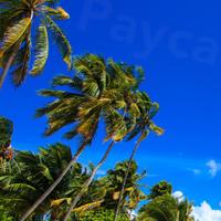 Paycation UK (@paycationuk) 's Twitter Profile
