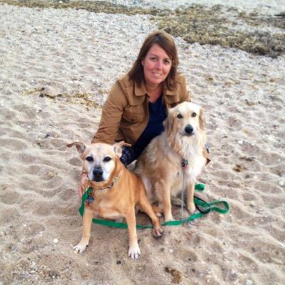 alijax9's profile picture. NY girl loving WV, mountain living. Exploring community, nature, & real estate.